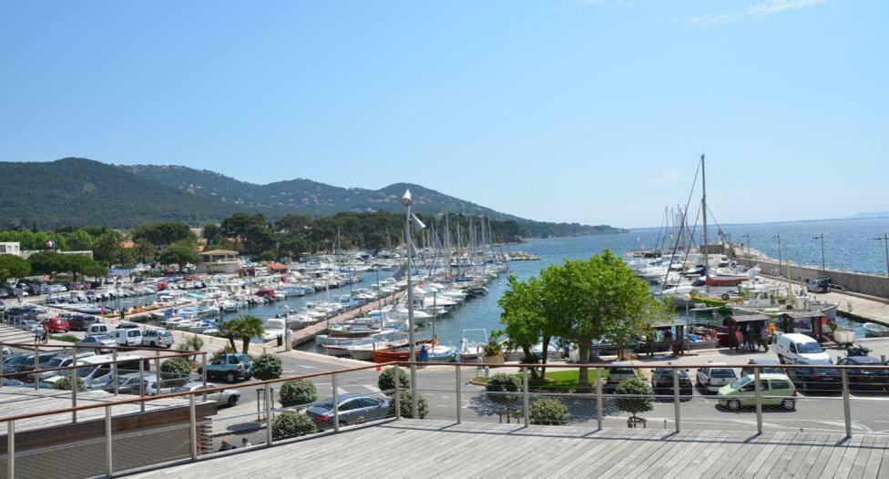 Studio 4 Personnes Avec Piscine, Tennis Apartment Hyeres Exterior photo